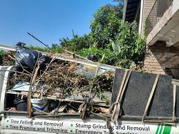 Best Electronics and E-Waste Disposal  in Hobart, WA